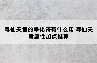 寻仙天君的净化符有什么用 寻仙天君属性加点推荐